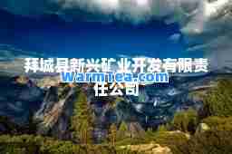 拜城县新兴矿业开发有限责任公司