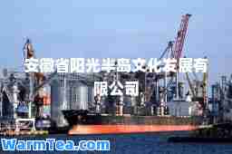 安徽省阳光半岛文化发展有限公司