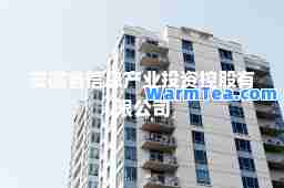 安徽省信息产业投资控股有限公司