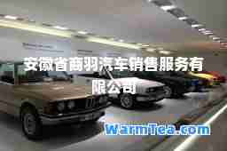 安徽省商羽汽车销售服务有限公司