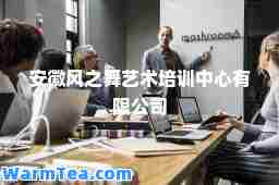 安徽风之舞艺术培训中心有限公司