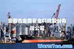 安徽省金鼎安全科技股份有限公司