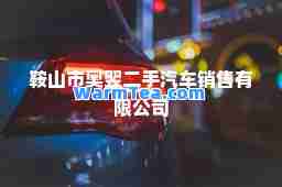 鞍山市奥翌二手汽车销售有限公司