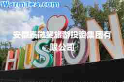 安徽泰微笑旅游投资集团有限公司