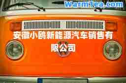 安徽小鸥新能源汽车销售有限公司