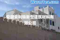 安徽索利特新型建筑材料有限公司