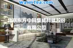 北京东方中科集成科技股份有限公司