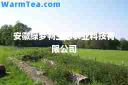 安徽绿梦鸭生态农业科技有限公司