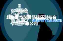 北京爱奇艺智慧娱乐科技有限公司