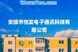 安顺市悦发电子通讯科技有限公司