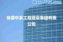 安徽中友工程建设集团有限公司