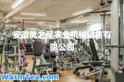 安徽优之星农业机械销售有限公司