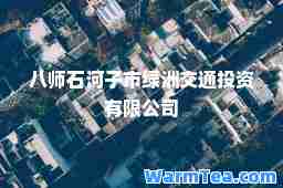 八师石河子市绿洲交通投资有限公司