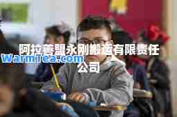 阿拉善盟永刚搬运有限责任公司