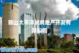 鞍山太平洋城房地产开发有限公司