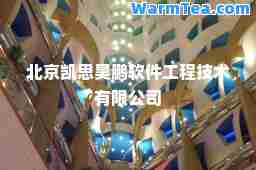 北京凯思昊鹏软件工程技术有限公司