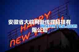 安徽省大皖网新传媒科技有限公司