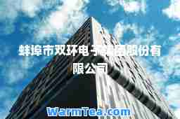 蚌埠市双环电子集团股份有限公司