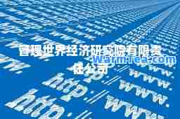 管理世界经济研究院有限责任公司