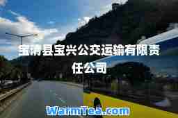宝清县宝兴公交运输有限责任公司