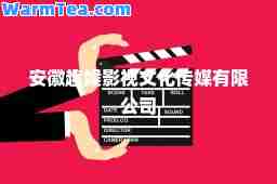 安徽趣娱影视文化传媒有限公司