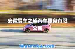 安徽易车之道汽车服务有限公司