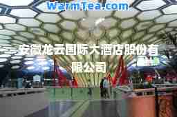 安徽龙云大酒店股份有限公司
