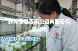 蚌埠易胜百投资咨询服务有限公司