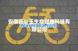 安徽百谷王生健康科技有限公司