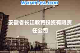 安徽省长江教育投资有限责任公司