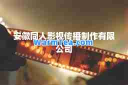 安徽同人影视传播制作有限公司