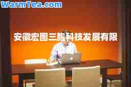 安徽宏图三胞科技发展有限公司