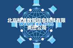 北京鲸准数服信息科技有限责任公司