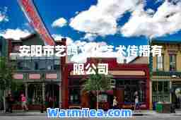 安阳市艺鸣文化艺术传播有限公司