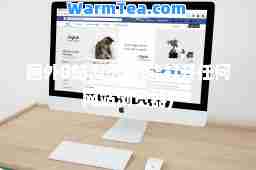 国外B站浏览器(能打开任何网站浏览器)