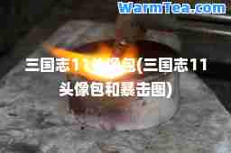 三国志11头像包(三国志11头像包和暴击图)