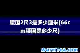 腰围2尺3是多少厘米(66cm腰围是多少尺)