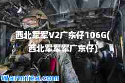 西北军军V2广东仔106G(西北军军军广东仔)