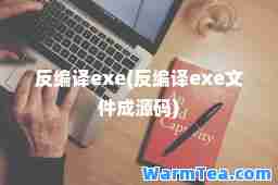 反编译exe(反编译exe文件成源码)