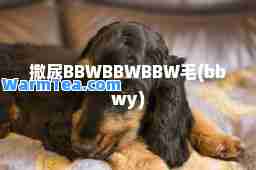 撒尿BBWBBWBBW毛(bbwy)
