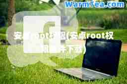安卓root权限(安卓root权限软件下载)