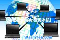 本地ip(我的ip查询本机)