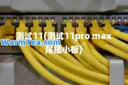 测试11(测试11pro max尾插小板)