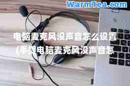 电脑麦克风没声音怎么设置(手提电脑麦克风没声音怎么设置)