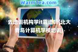 去培训机构学it靠谱吗(北大青鸟计算机学校培训)