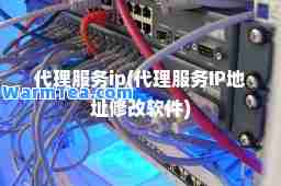 代理服务ip(代理服务IP地址修改软件)