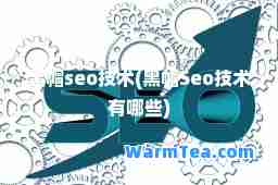 黑帽seo技术(黑帽Seo技术有哪些)