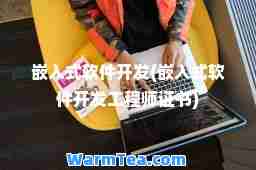 嵌入式软件开发(嵌入式软件开发工程师证书)