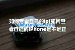 如何查看自己的ip(如何查看自己的iPhone是不是)