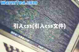 引入css(引入css文件)